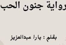 تحميل روايه جنون الحب فارس وحور الفصل 26 pff كاملة