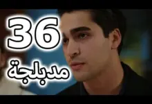 مسلسل طائر الرفراف الحلقة 36 والاخيرة