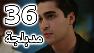 مسلسل طائر الرفراف الحلقة 36 والاخيرة