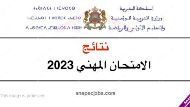 الان نتائج الامتحان المهني 2023 دورة دجنبر 2022 المغرب