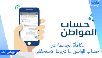 مكافأة الجامعة عبر حساب المواطن ما شروط الاستحقاق