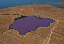 حقيقة ظهور بحيرة بنفسجية اغرب من الخيال في العراق