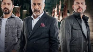 مسلسل العميل 33